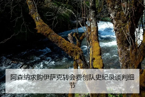 阿森纳求购伊萨克转会费创队史纪录谈判细节