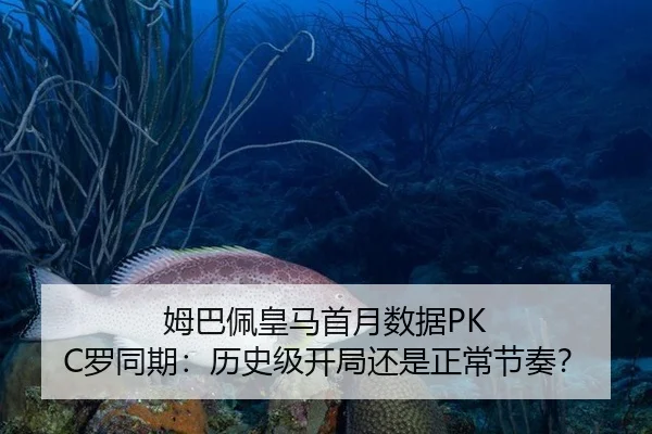 mu-ba-pei-huang-ma-shou-yue-shu-ju-luo-tong-qi-li-shi-ji-kai-ju-hai-shi-zheng-chang-jie-zou-2-184.jpg