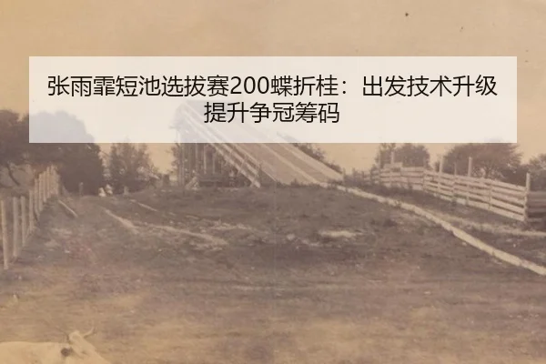 zhang-yu-fei-duan-chi-xuan-ba-sai-die-zhe-gui-chu-fa-ji-shu-sheng-ji-ti-sheng-zheng-guan-chou-ma-3-453.jpg